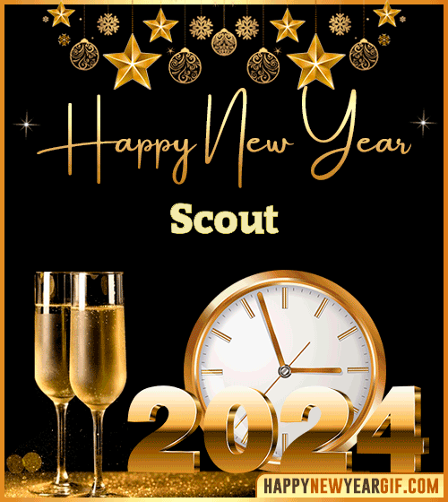 Happy New Year 2024 Scout gif