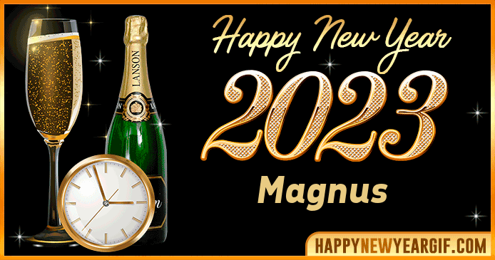 Happy New Year 2023 Magnus GIF