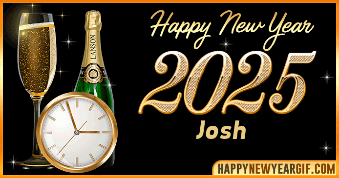 Happy New Year 2025 Josh GIF