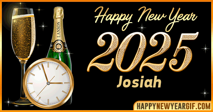 Happy New Year 2025 Josiah GIF