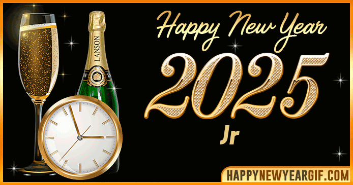 Happy New Year 2025 Jr GIF