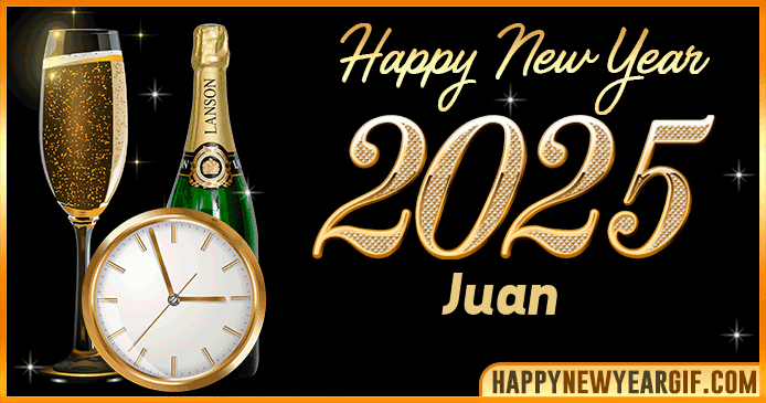 Happy New Year 2025 Juan GIF