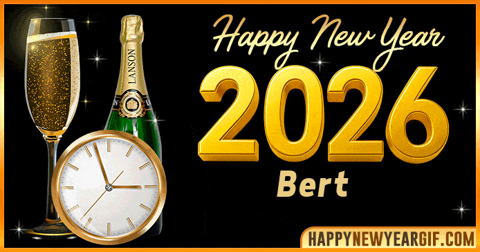Happy New Year 2026 Bert GIF